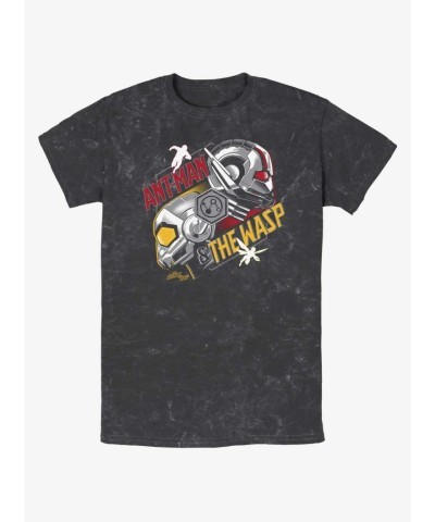 Marvel Ant-Man & Wasp Quantumania Mineral Wash T-Shirt - Multi