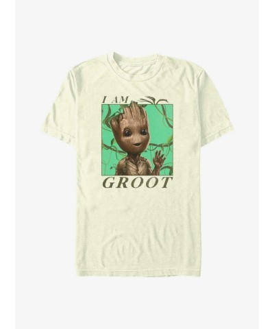 Marvel Guardians of the Galaxy Jungle Vibes T-Shirt - Men's Beige
