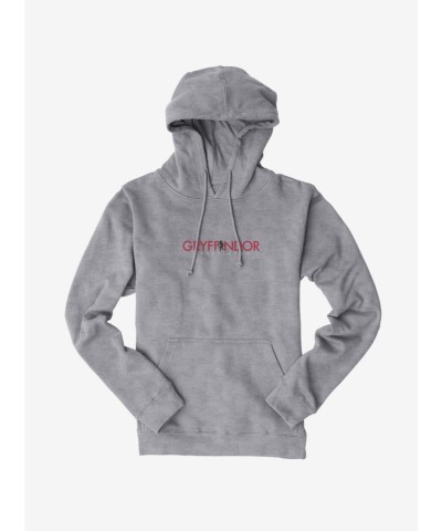 Harry Potter Gryffindor Bold Script Men's Hoodie