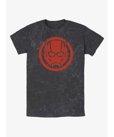 Marvel Ant-Man and the Wasp Quantum Sigil T-Shirt - Lightweight Mineral Wash Men's Multi