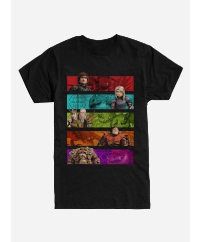 How To Train Your Dragon Character Graphic Tee - Men's Black