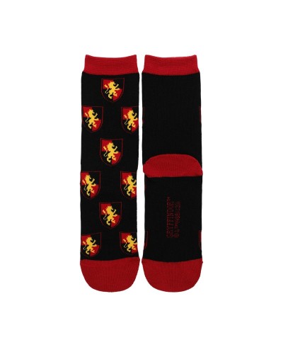 Gryffindor Themed 3-Pack Cozy Socks for Unisex